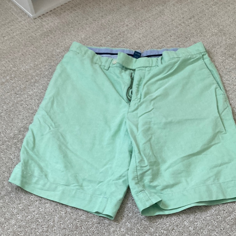 Ralph Lauren Mens Mint Green Casual Shorts 33